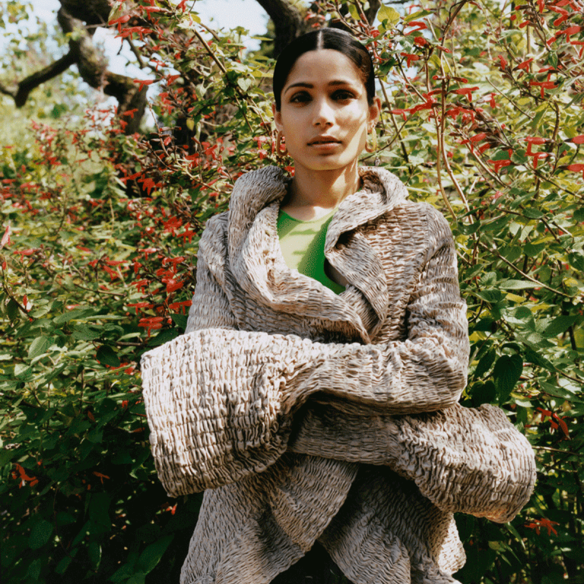 Freida Pinto in Mega U-links