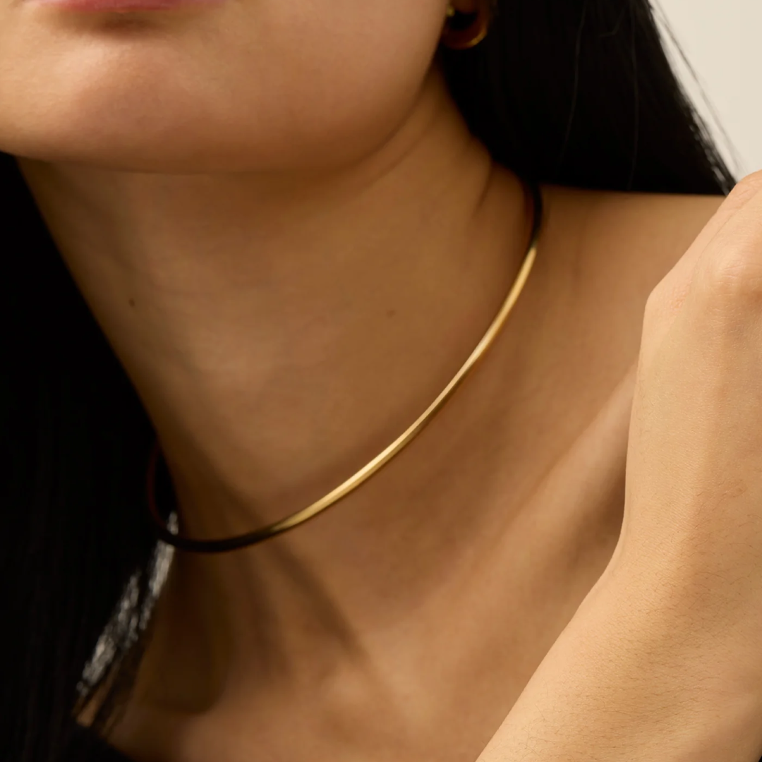 14K Gold Plated Dane Choker Necklace