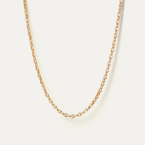 14K Gold Plated Dhani Chain Necklace