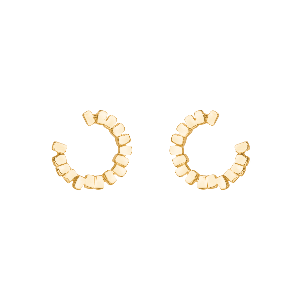 Statement Matte Finish Asmee Earrings