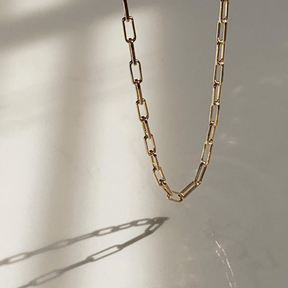 Sharvari in Chain Necklace